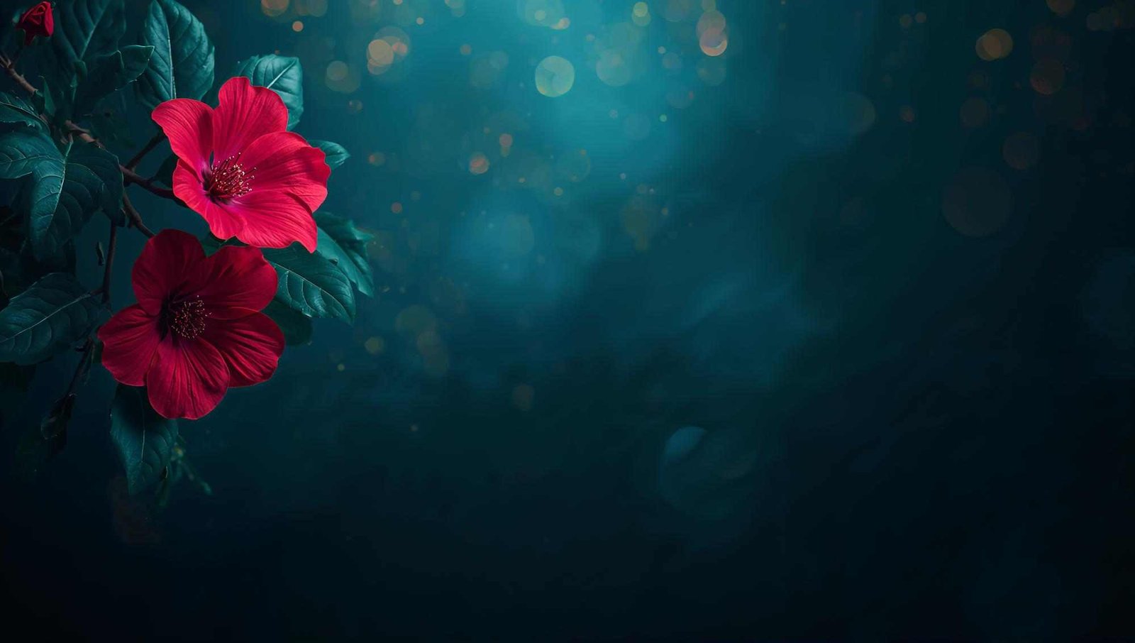 red camellia flowers